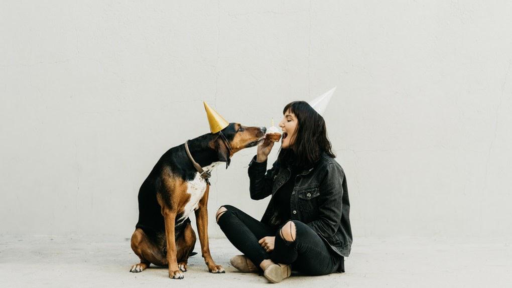 Lovearoundme - Adorable Instagram Captions for Your Dog's Birthday